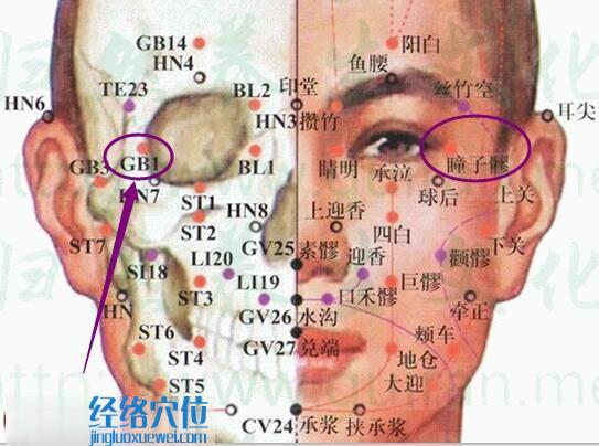 瞳子髎穴的準確位置圖