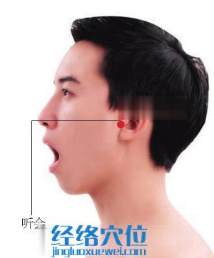 聽會穴位位置圖