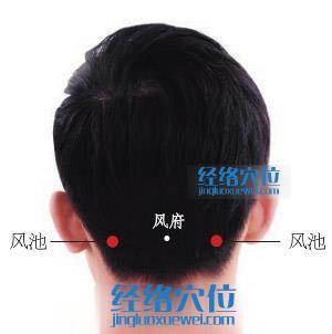 風池穴的準確位置圖