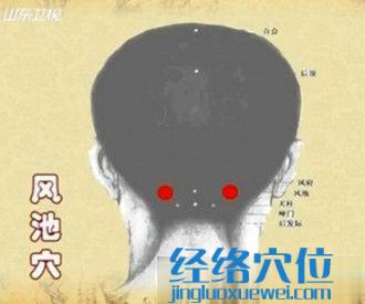 風池穴的位置圖