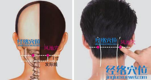 風池穴位位置圖