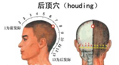 后頂穴的準確位置圖