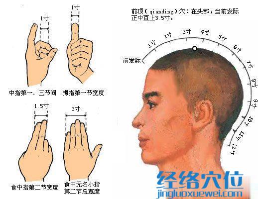 前頂穴的準確位置圖