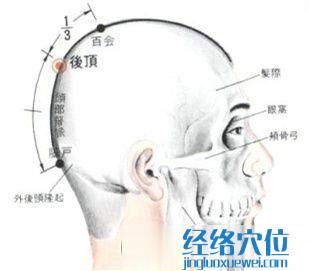 后頂穴的位置解剖分析圖
