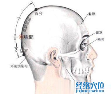 強(qiáng)間穴的位置解剖分析圖