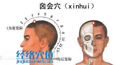 囟會穴的位置圖
