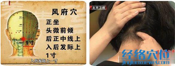 風(fēng)府穴的位置圖