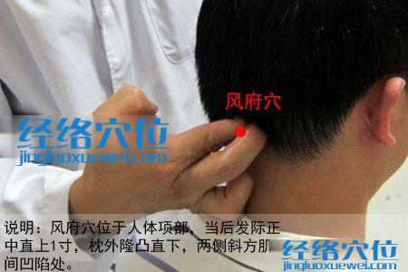 風(fēng)府穴的位置
