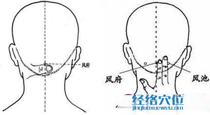 風(fēng)府穴的取穴方法示范圖