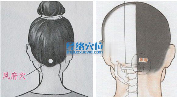 風(fēng)府穴位位置圖