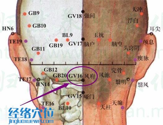 風(fēng)府穴的準(zhǔn)確位置圖