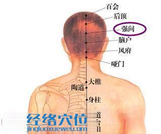 腦戶穴位圖