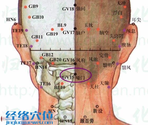 啞門穴的準確位置圖