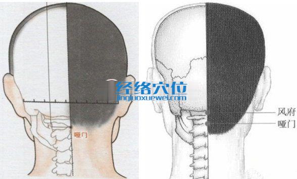 啞門穴位位置圖