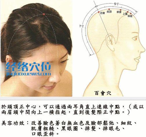 百會穴的準確位置圖