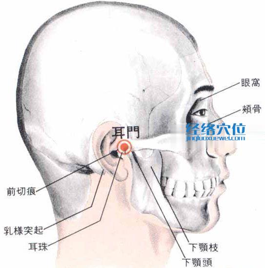耳門穴的位置解剖分析圖