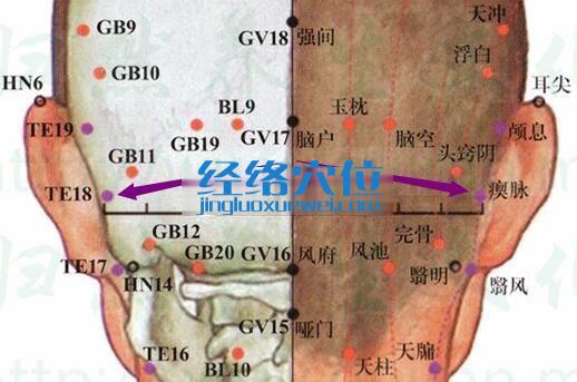 瘈脈穴的準確位置圖