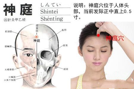神庭穴位于哪里,準確位置圖位位置圖