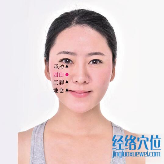 四白的準確位置圖及功效視頻位位置圖