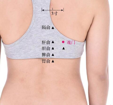 魂門的準(zhǔn)確位置圖及功效視頻位位置圖