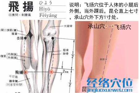 飛楊穴