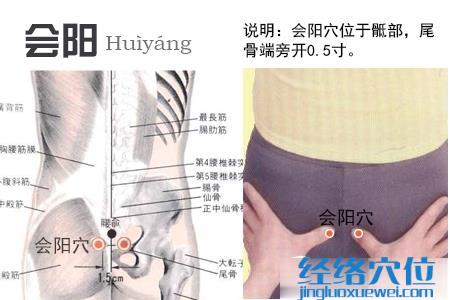 會陽穴