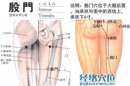 殷門穴