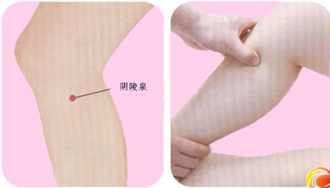 陰陵泉穴的準(zhǔn)確位置圖