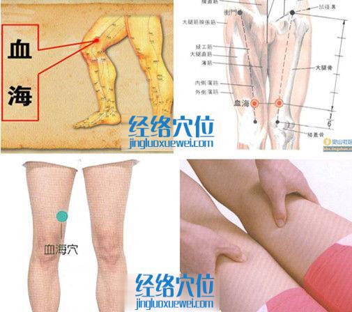 血海穴的準確位置圖（高清圖組）