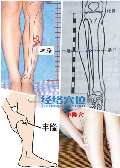豐隆穴位位置圖（高清圖組）