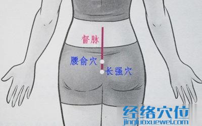 長強穴位位置圖