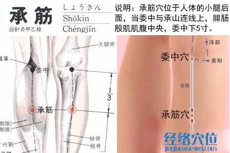 承筋穴位位置圖