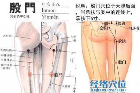 殷門穴位位置圖