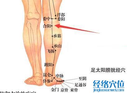 合陽穴位位置圖