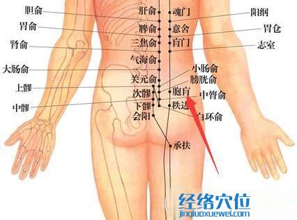 胞肓穴位位置圖