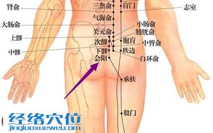 會陽穴