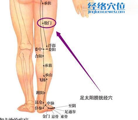 殷門穴的準確位置圖
