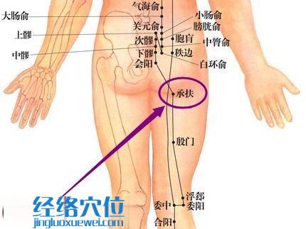 膀胱經(jīng)承扶穴