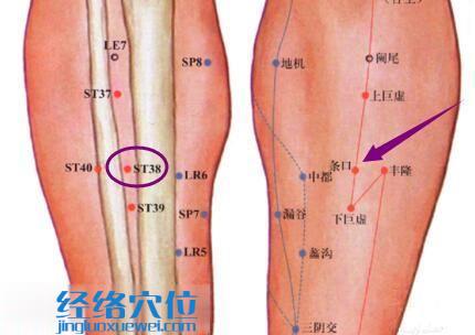 條口穴的準確位置圖