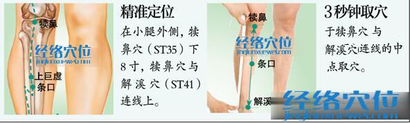 條口穴的準確位置及取穴方法示范圖