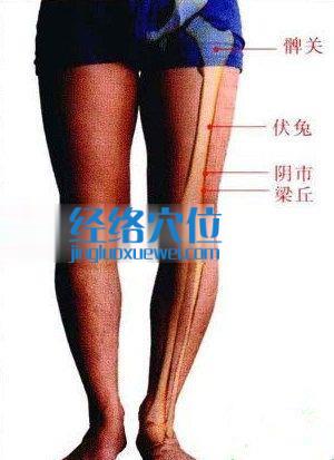 陰市穴位圖