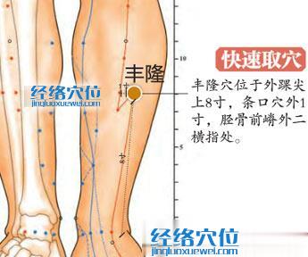 豐隆穴的準確位置圖