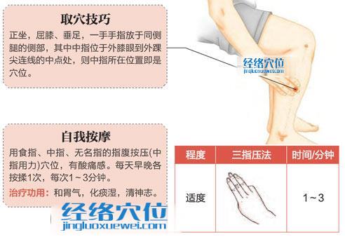 高清圖解豐隆穴的位置及取穴技巧