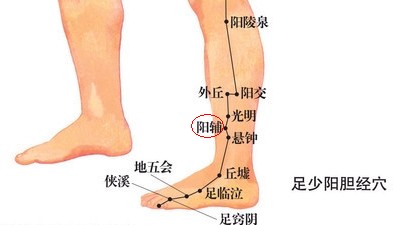 陽輔穴的準確位置圖
