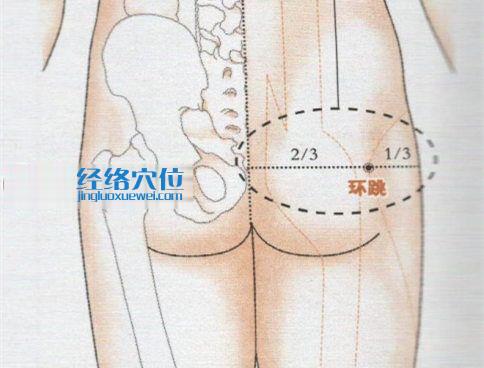 環跳穴的準確位置圖