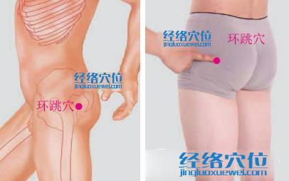 環跳穴位位置圖