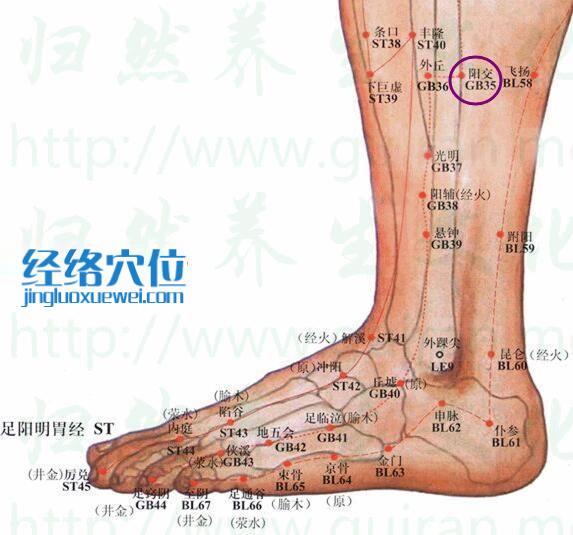 陽交穴位位置圖