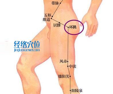 環跳穴位圖