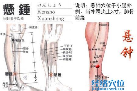 懸鐘穴位位置圖