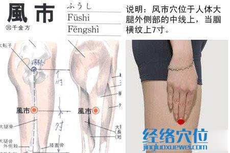 風市穴位位置圖